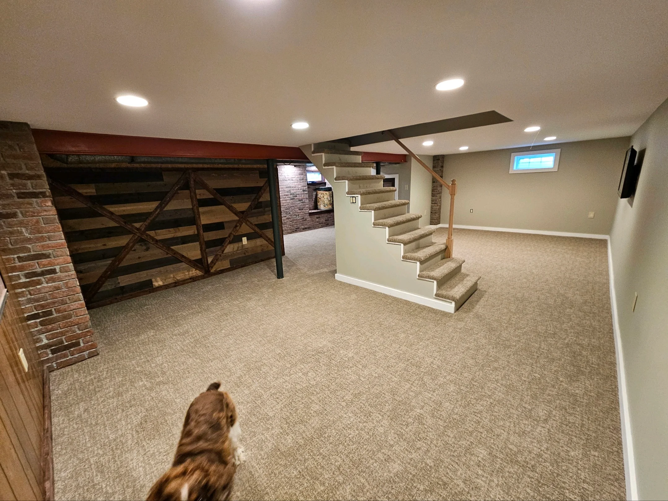 Basement Remodel